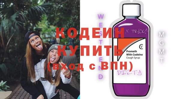 хмурый Михайловск