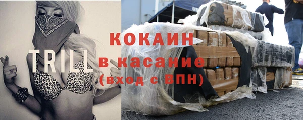 ешки Михайлов