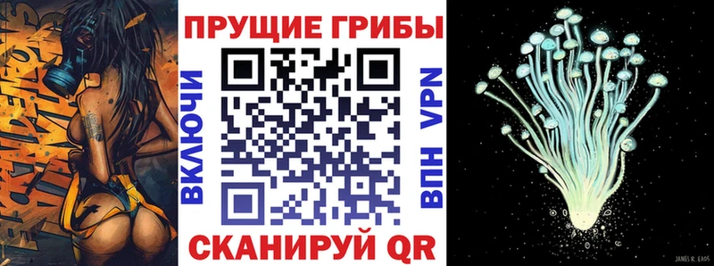 закладки  Зверево  Псилоцибиновые грибы GOLDEN TEACHER 